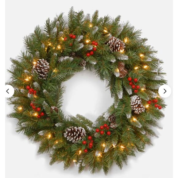 National Tree Company 24 Inch 180 Tip Prelit Frosted Berry Wreath